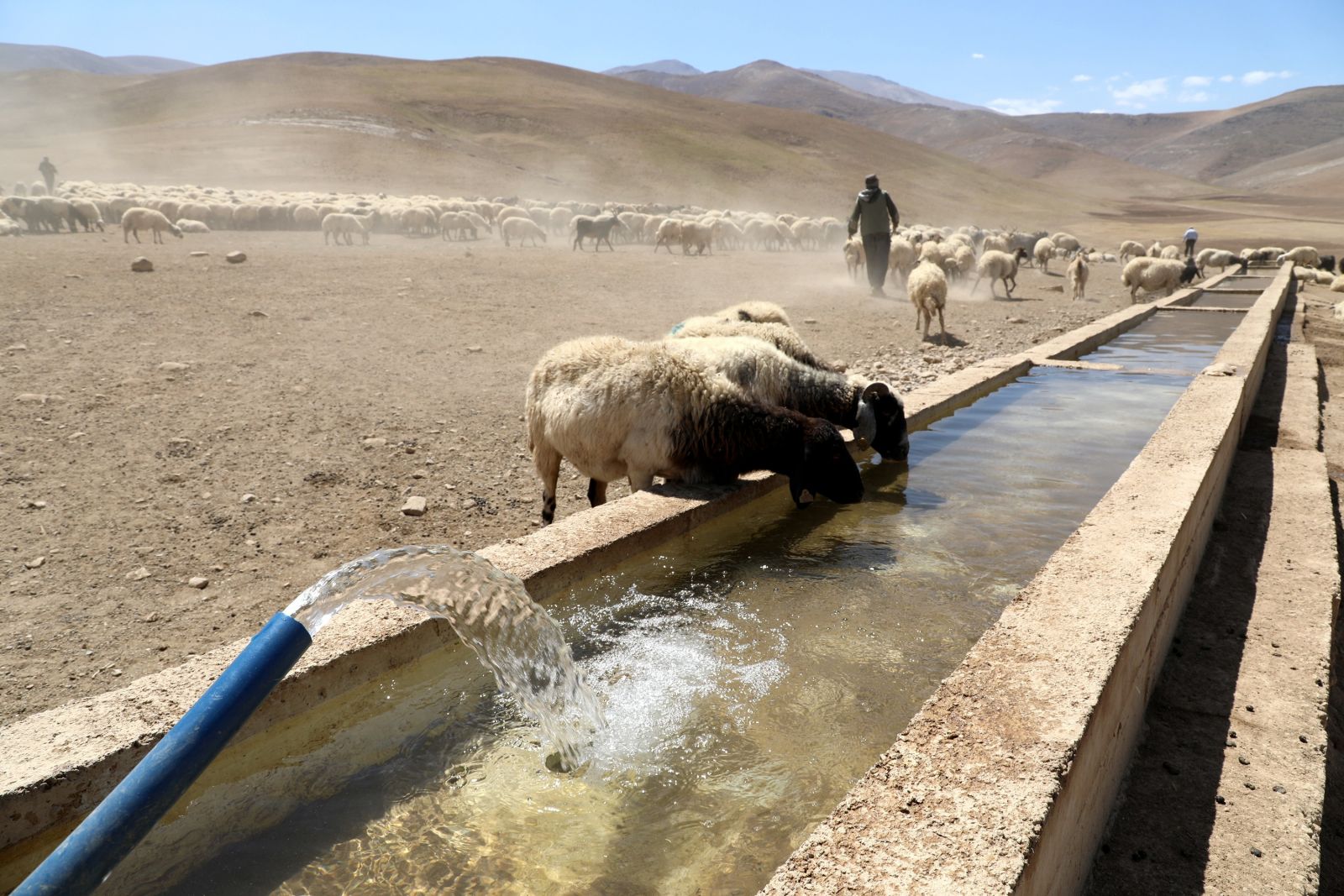 Yaylaya suyun gelmesiyle şenlik oluştu! Şarkı söyleyip halay çektiler