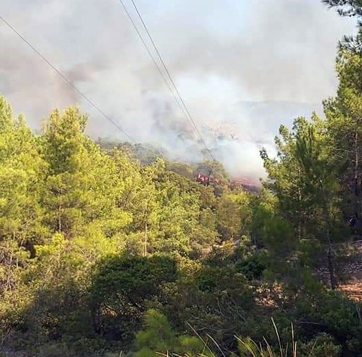 Muğla’da orman yangını! Havadan müdahale ediliyor