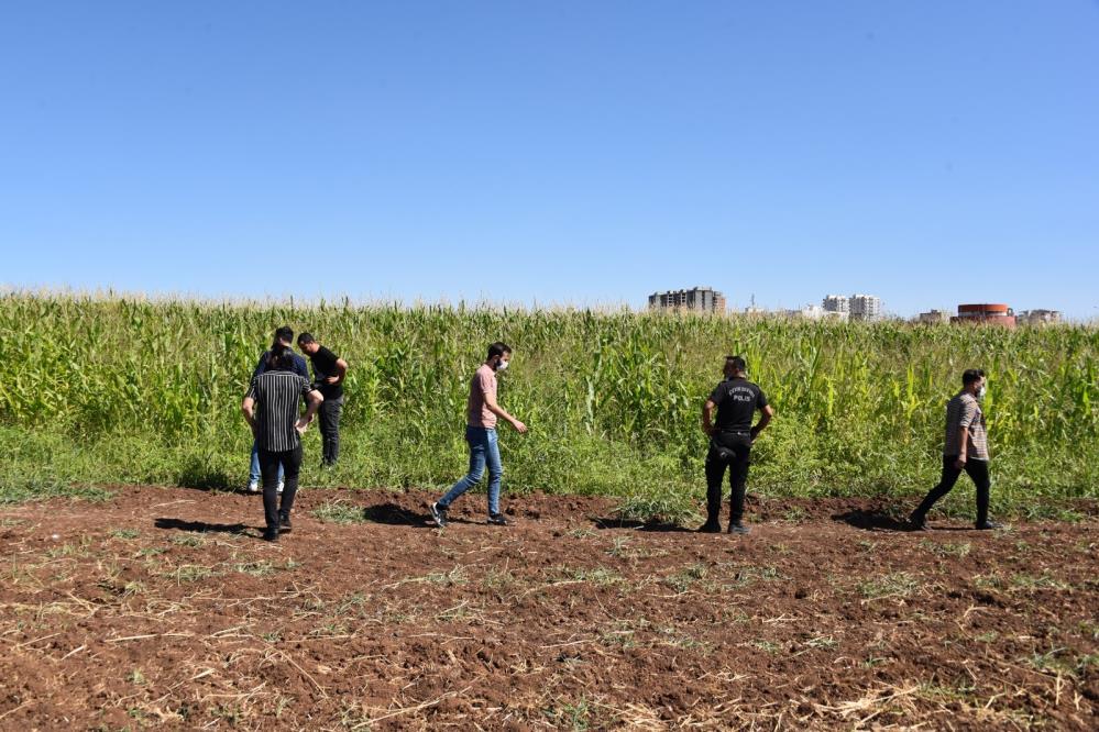 Yakalanan Afgan göçmenler: Kadınlarımız otobüsle geliyor