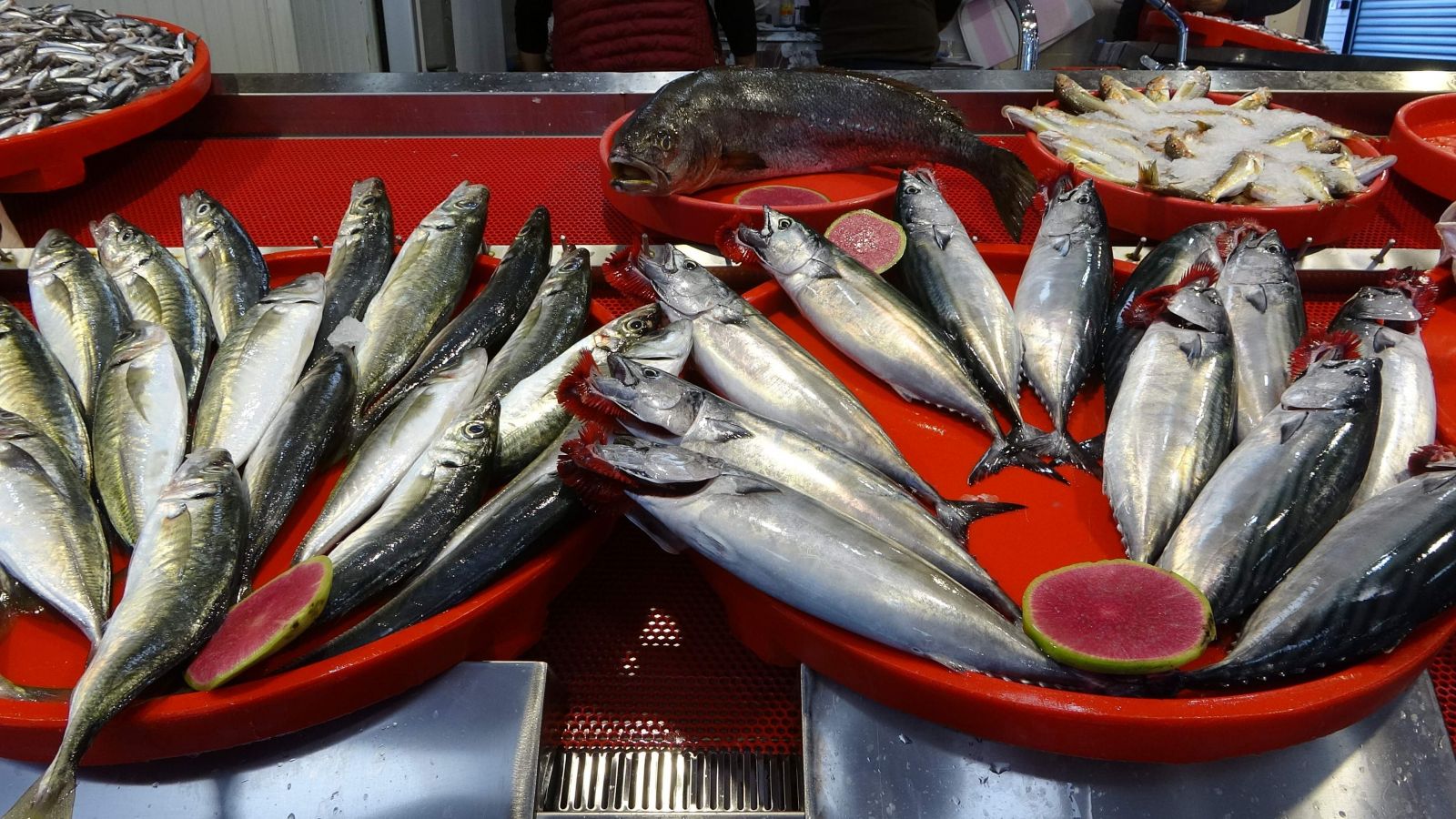 Kilosu 10 TL'ye kadar düştü, tuzlama zamanı geldi