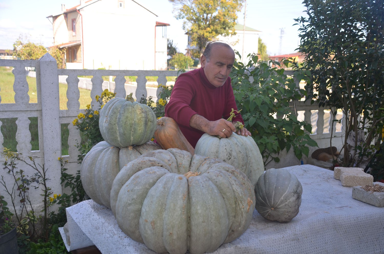 Yaklaşık 60 kilo ağırlığında bal kabağı yetiştirdi