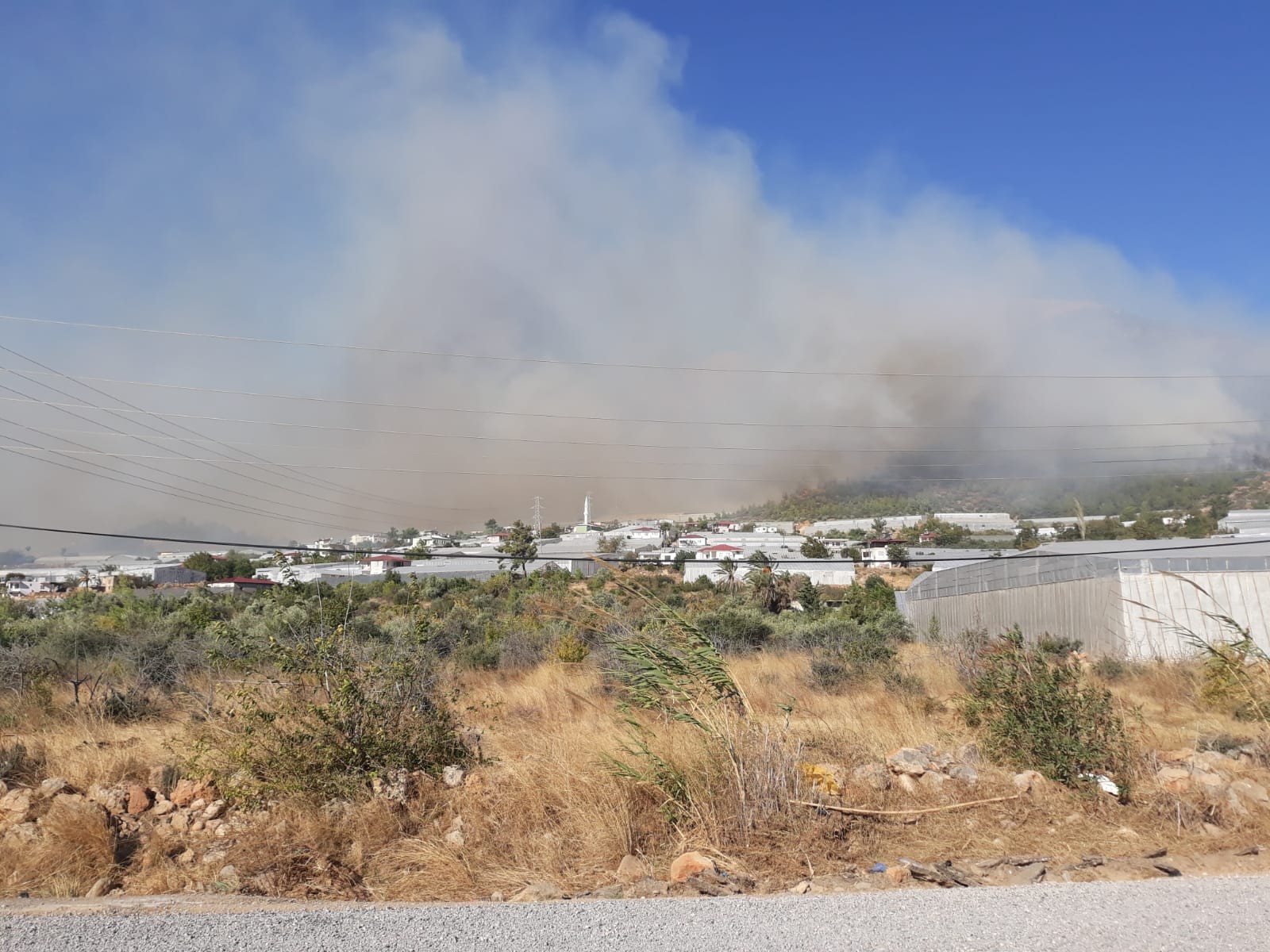 Mersin'in Bozyazı ilçesinde orman yangını