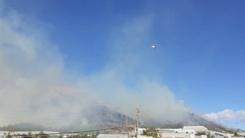 Mersin'in Bozyazı ilçesinde orman yangını