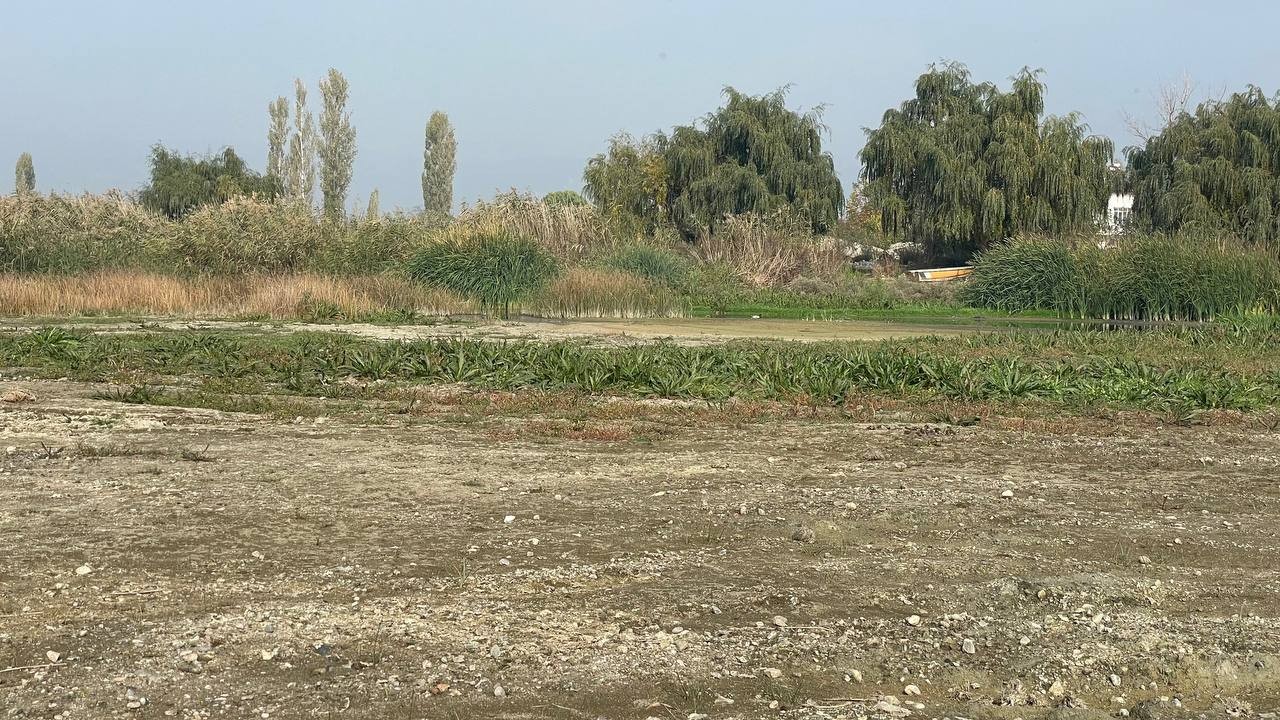 İznik Gölü'nde korkutan görüntü