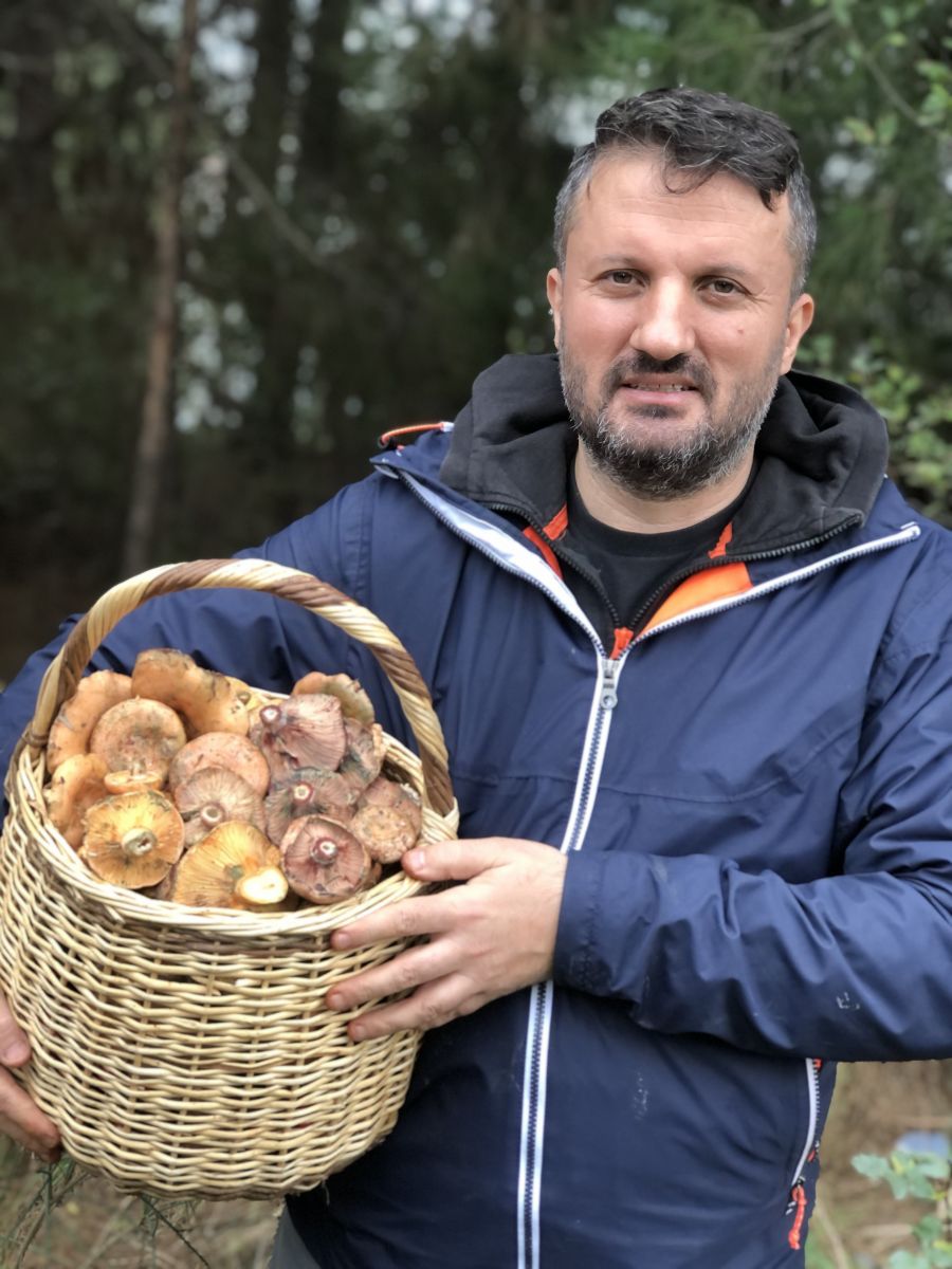Uzmanından uyarı: Yanlış bilgiler mantar zehirlenmesine sebep oluyor Uzmanından uyarı: Yanlış bilgiler mantar zehirlenmesine sebep oluyor