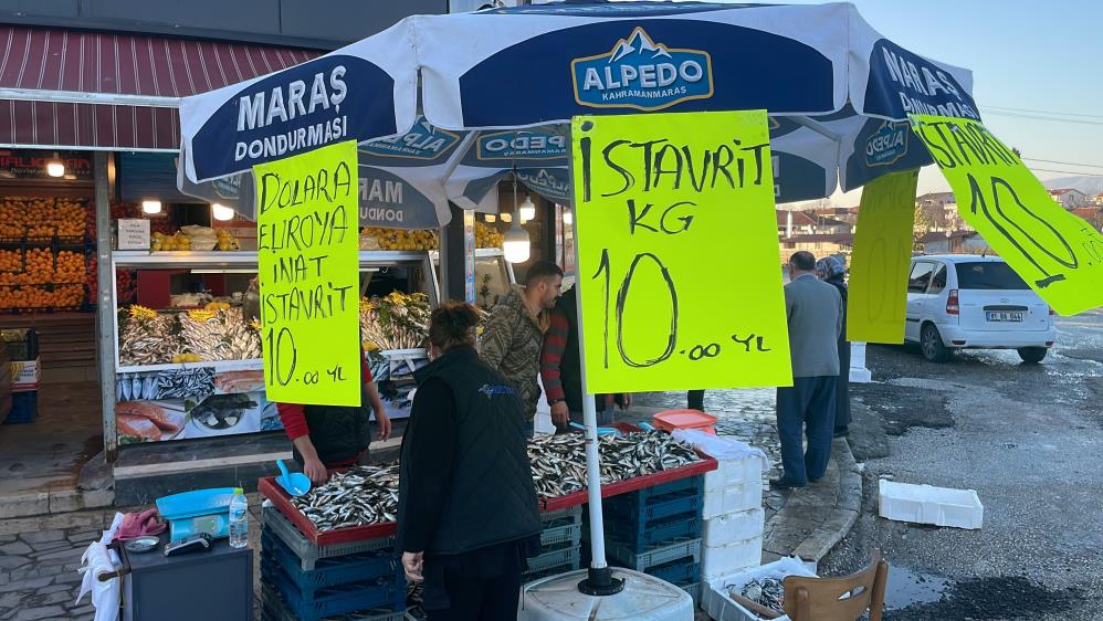 Hamsi Gürcistan’a kaçtı, Karadeniz’den istavrit fışkırmaya başladı Hamsi Gürcistan’a kaçtı, Karadeniz’den istavrit fışkırmaya başladı