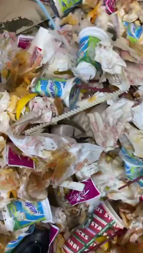 Kadıköy’de tantunicide mide bulandıran görüntüler! Tüm biberleri çöpten toplattı