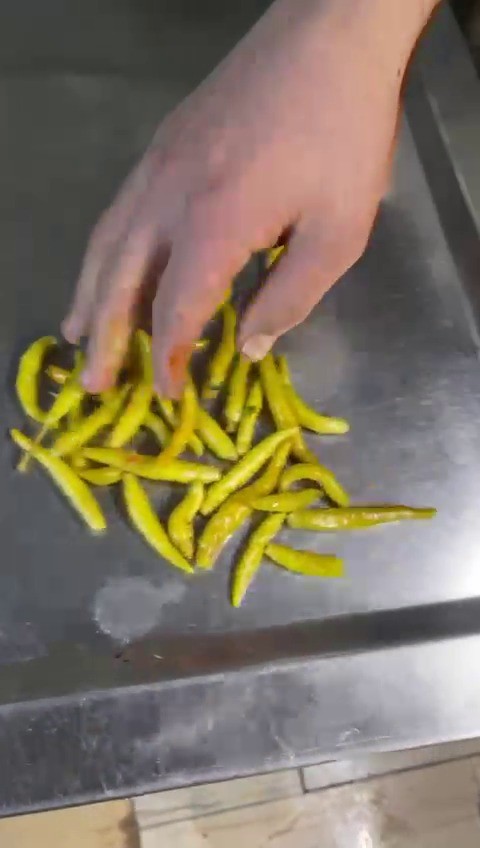 Kadıköy’de tantunicide mide bulandıran görüntüler! Tüm biberleri çöpten toplattı