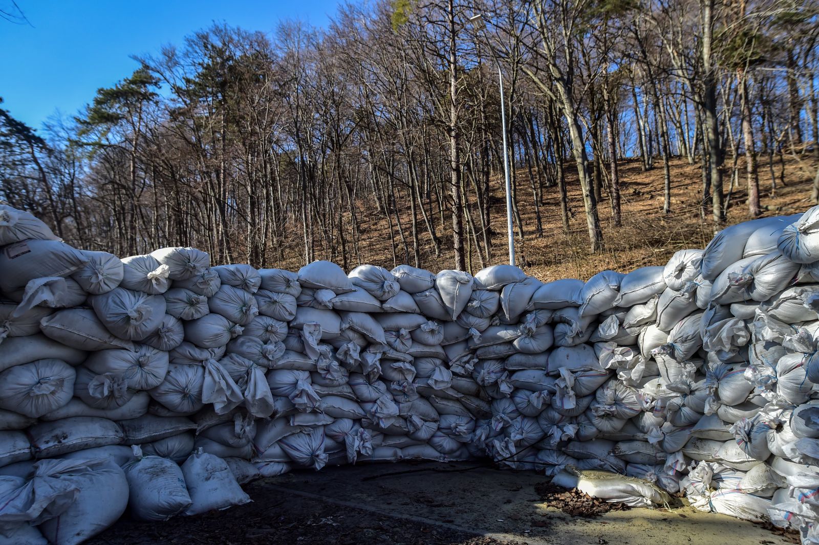 Pentagon: Ukrayna'nın savaşı kazanabileceğini düşünüyoruz