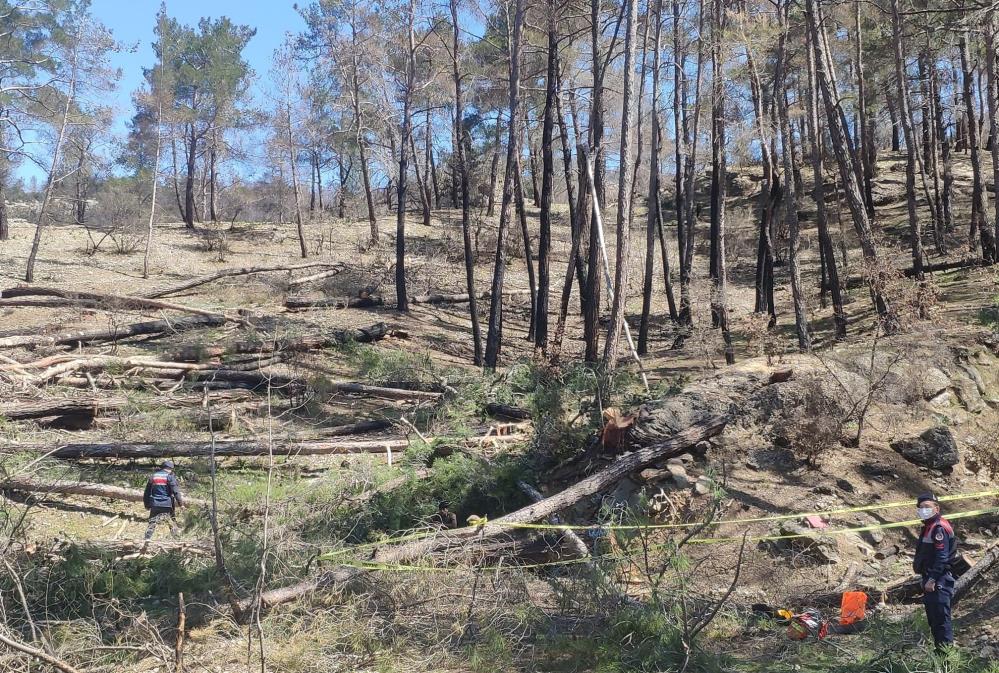 Feci son! Arkadaşının kestiği ağaç üzerine düşen işçi hayatını kaybetti
