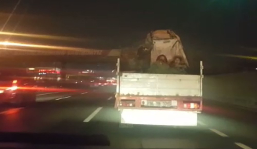 Soğuk havada yürek sızlatan yolculuk