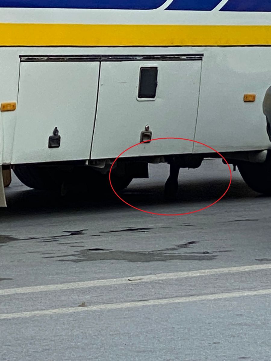 Yolun karşısına geçmek isteyen kadın, otobüsün altında kaldı Yolun karşısına geçmek isteyen kadın, otobüsün altında kaldı