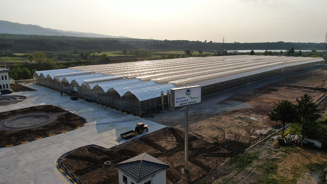 Sakarya'da topraksız tarım merkezi: Yılda 1.250 ton domates üretilecek