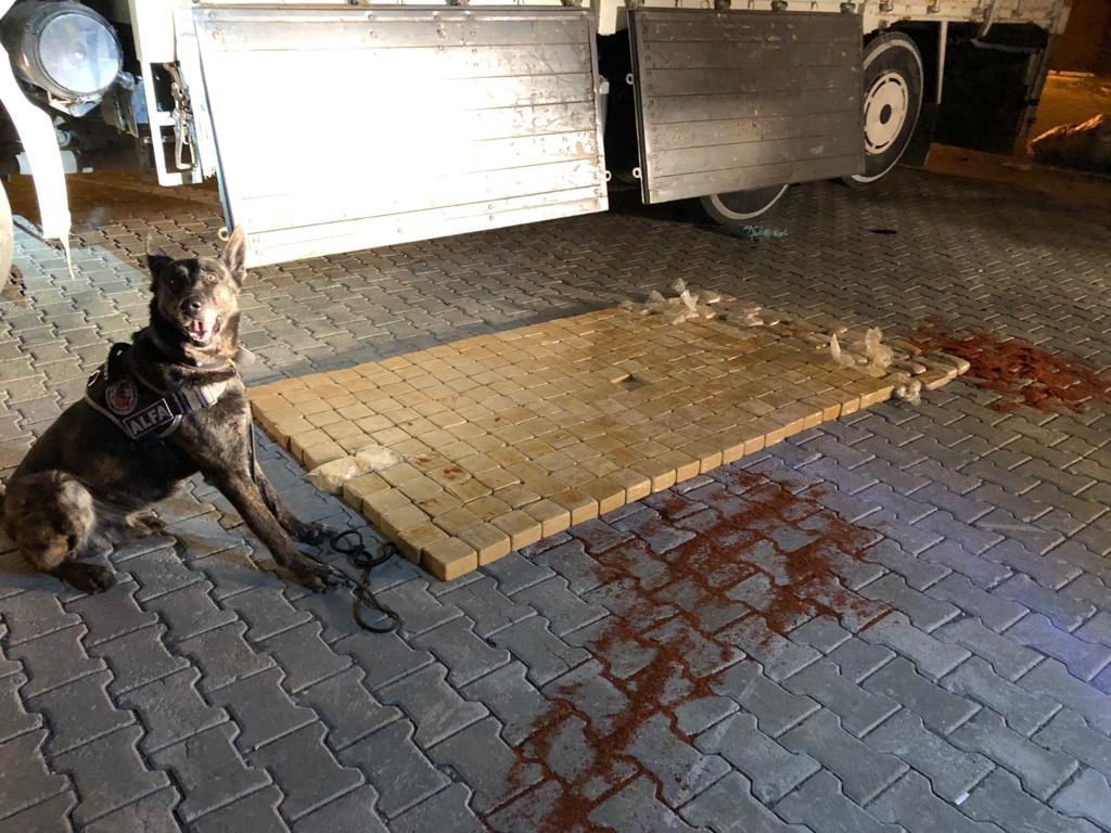 Pul biber ile kamufle edilen eroin, narkotik köpeği Alfa'ya takıldı