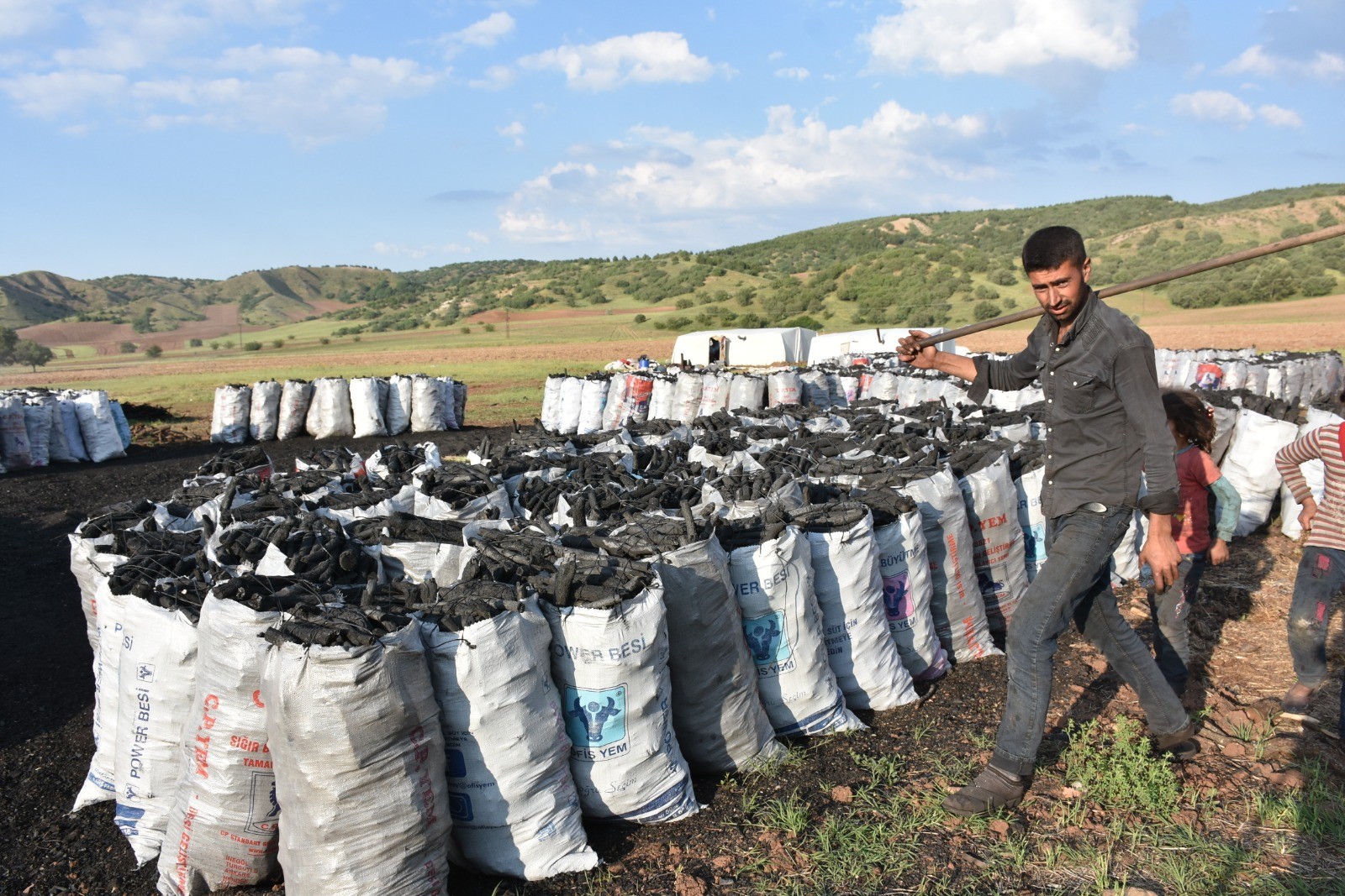Zorlu şartlar altında mangal kömürü üretiyorlar
