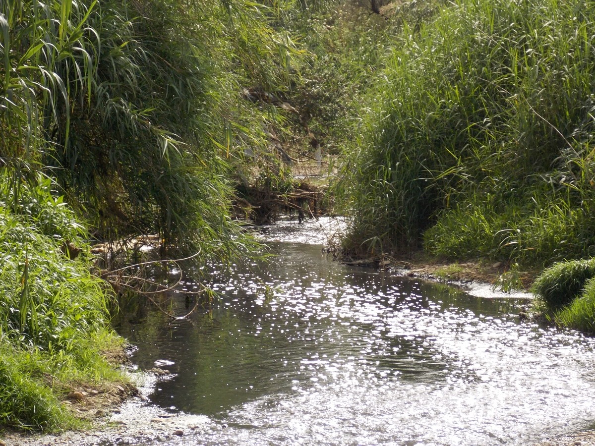 Küçük Menderes kapkara