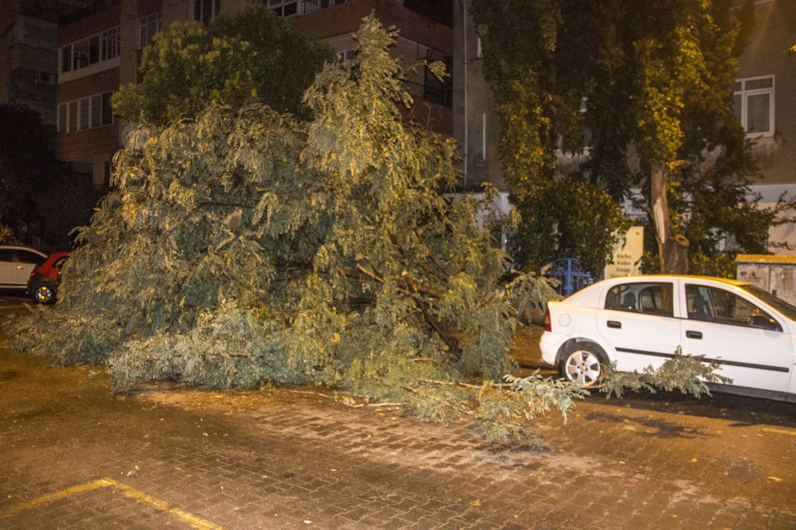 Sağanak yağış ağaçları yıktı, cadde ve sokaklar göle döndü