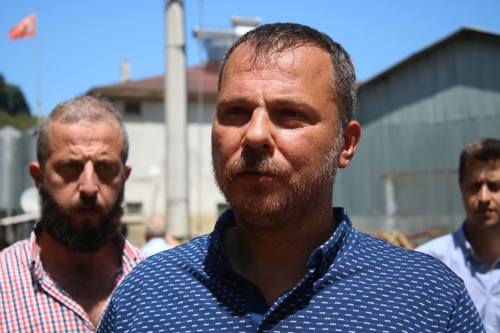Selde telef olan hayvanlar felaketin boyutunu gözler önüne serdi