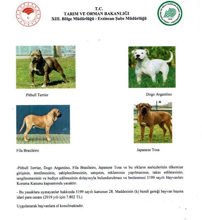 Tehlike arz eden 4 köpek ırkını besleyene 7 bin 802 TL para cezası Tehlike arz eden 4 köpek ırkını besleyene 7 bin 802 TL para cezası