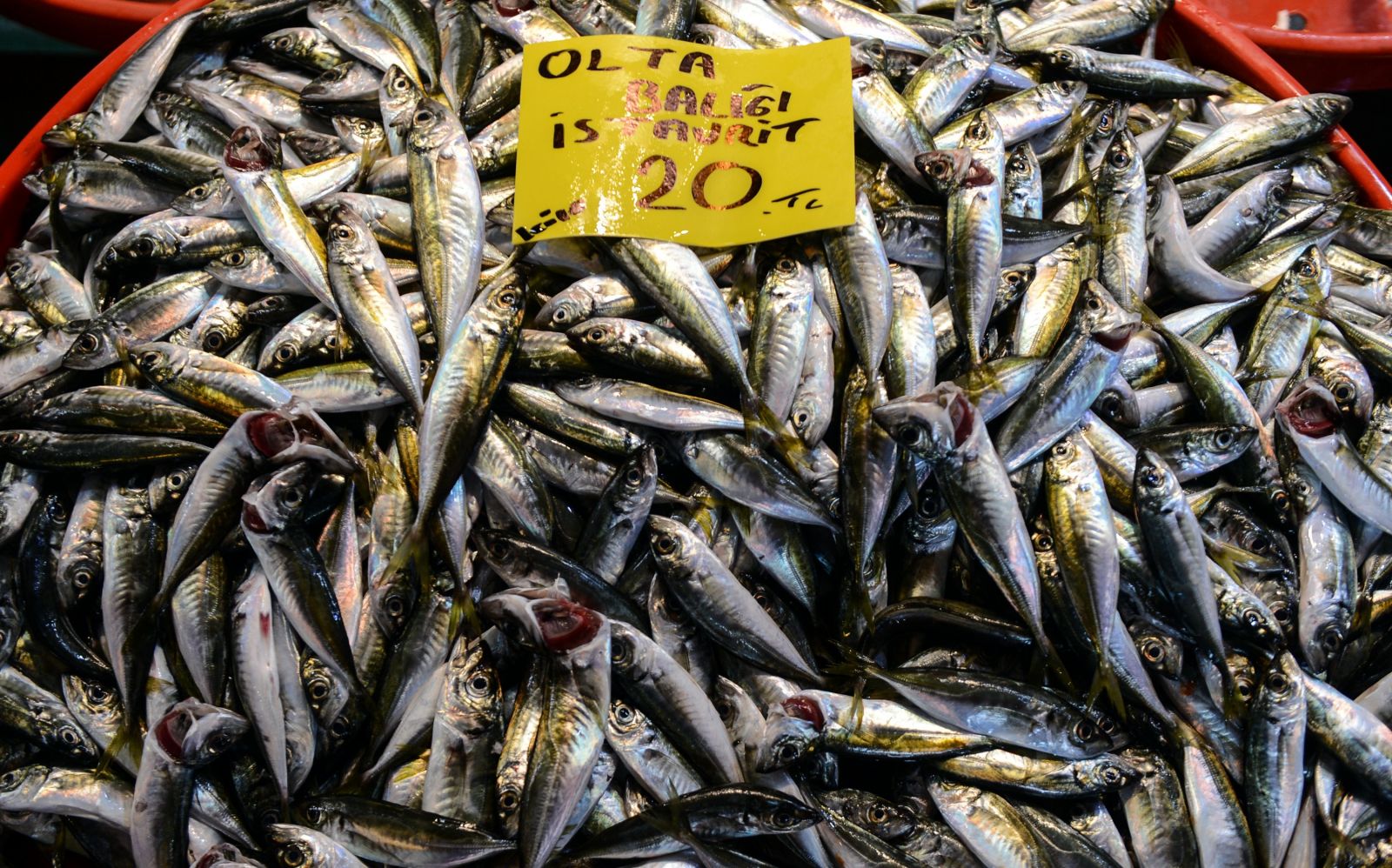 Balıklar tezgahlara serildi