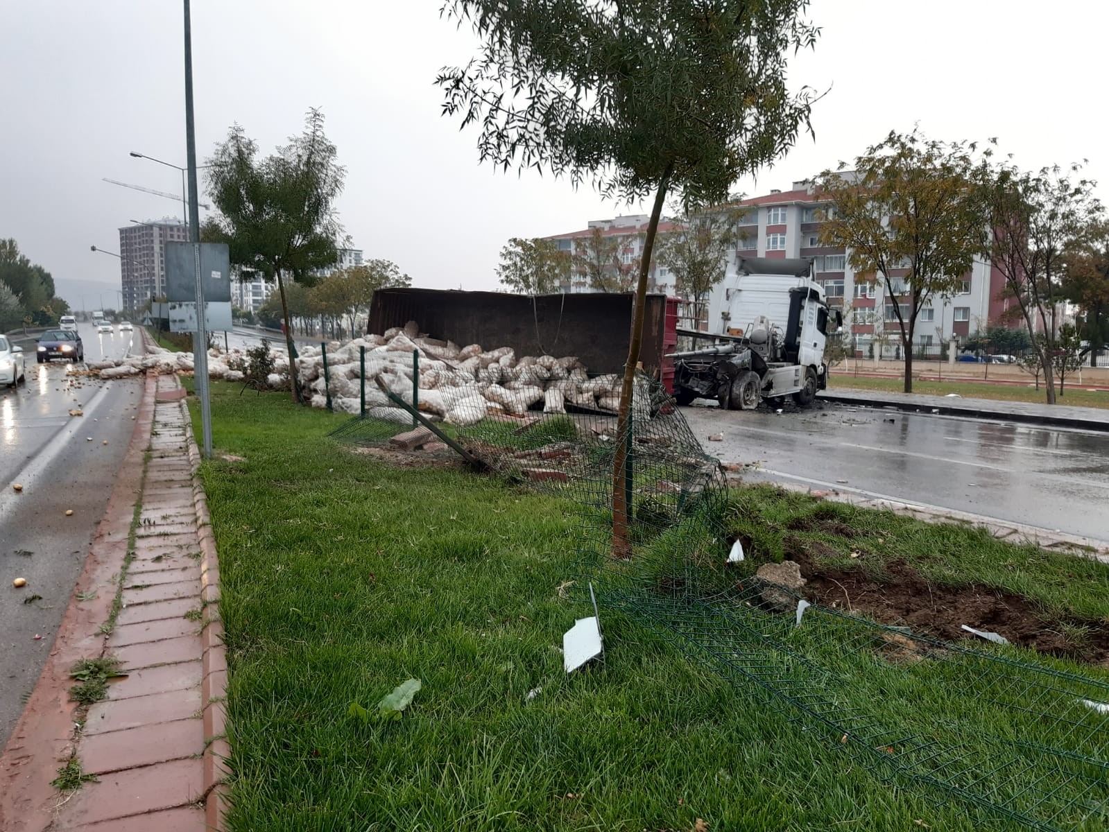 Tır devrildi, patatesler etrafa saçıldı