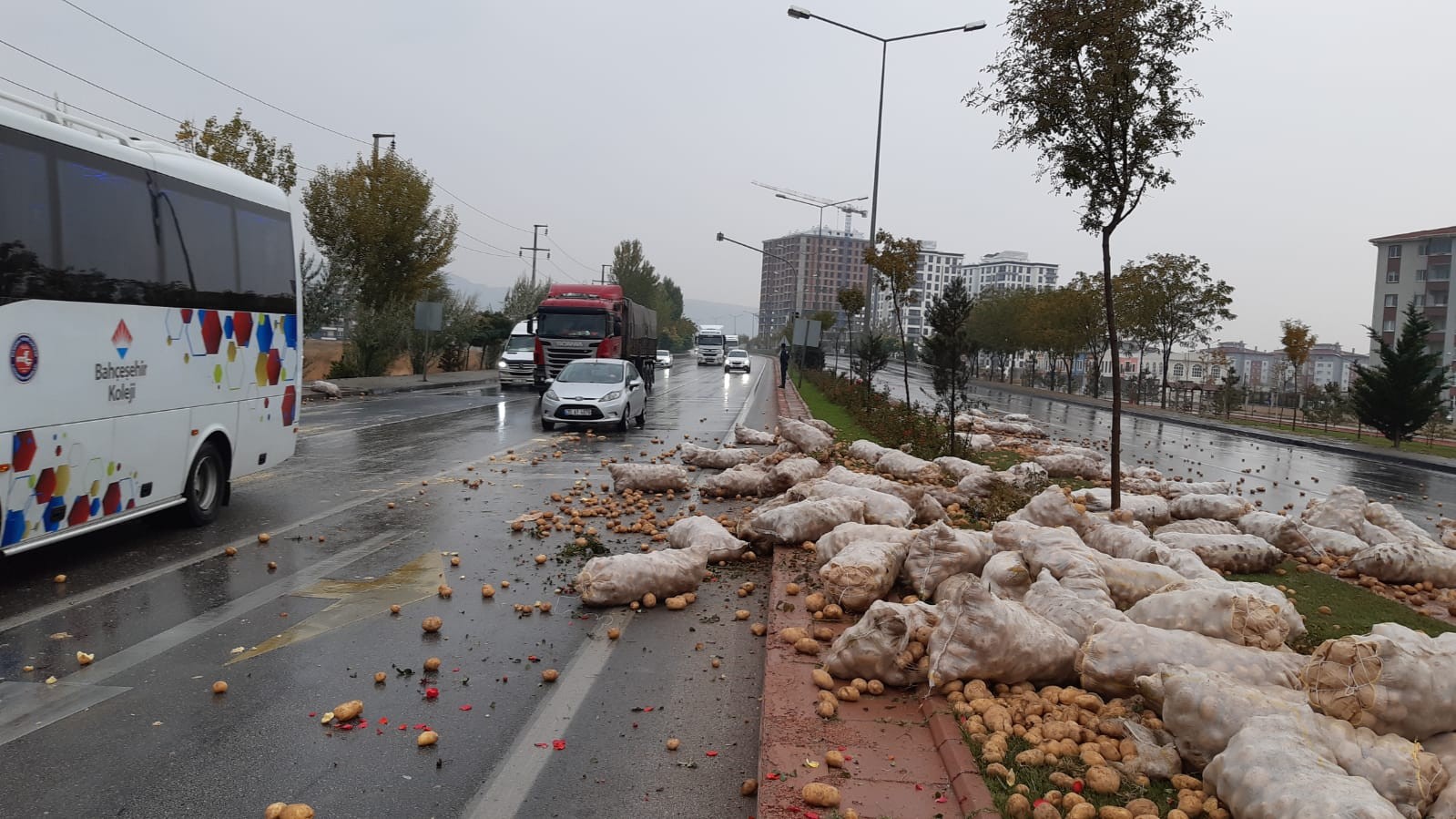 Tır devrildi, patatesler etrafa saçıldı