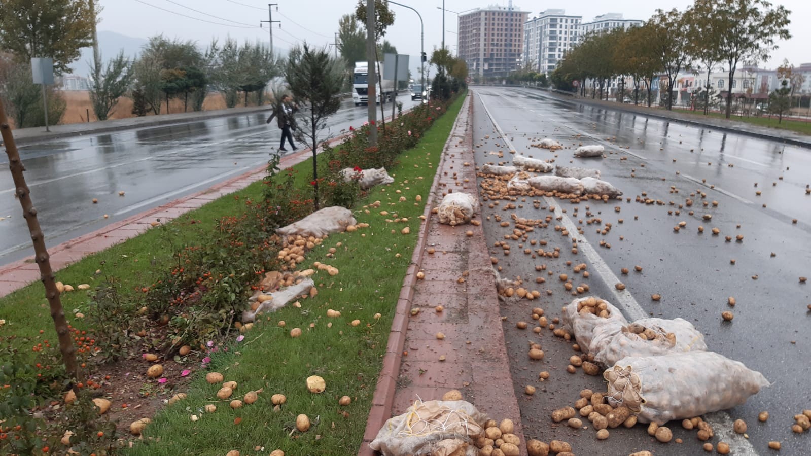 Tır devrildi, patatesler etrafa saçıldı