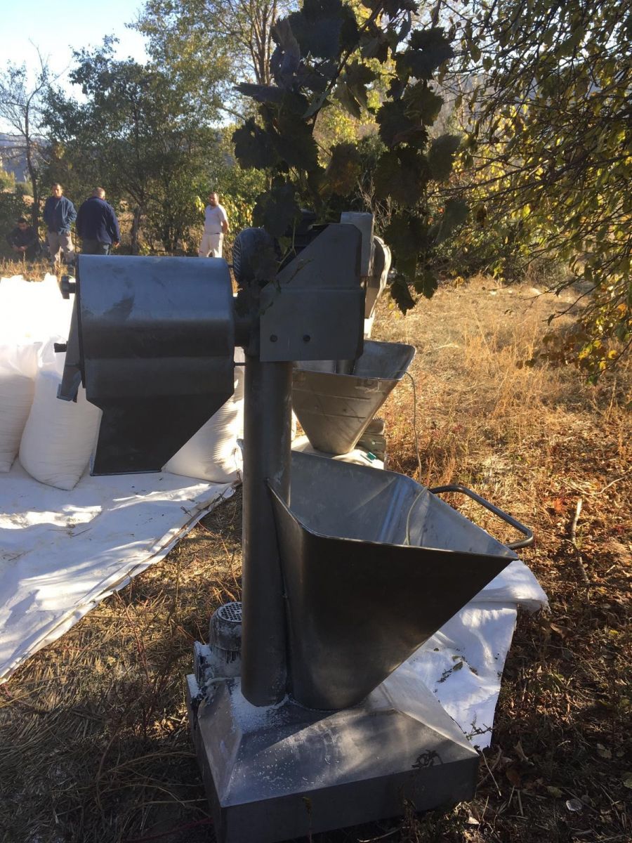 Böceklenmiş unları çuvallarken suçüstü yakalandılar