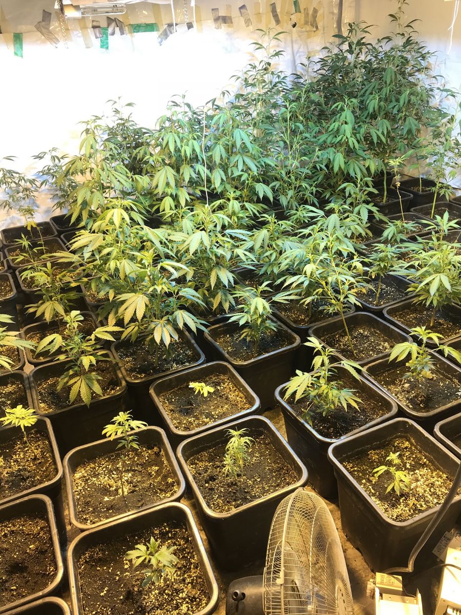 Uyuşturucu villalarına baskın