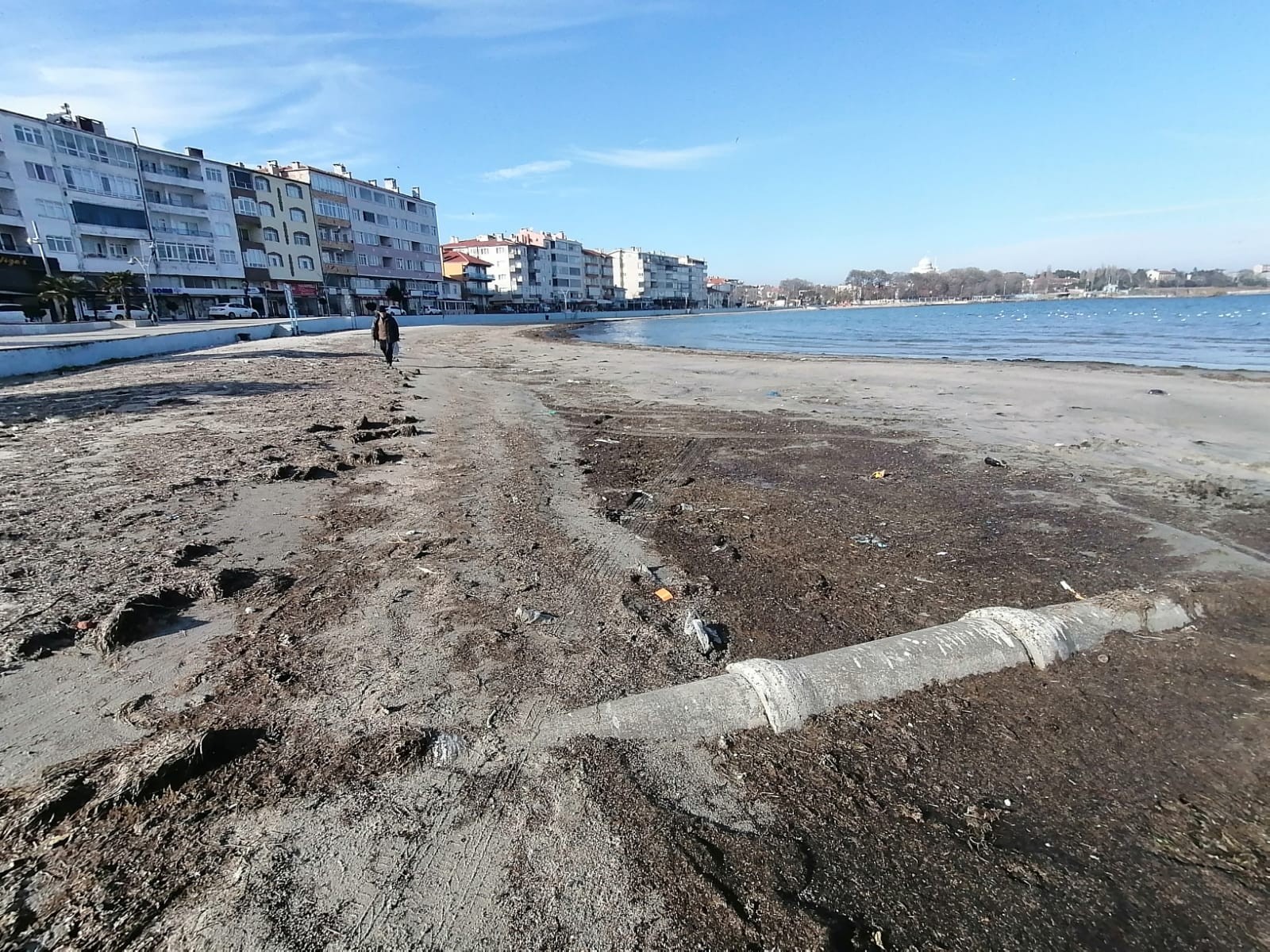 Deniz 30 metre çekildi, ilk kez görenler paniğe kapıldı!