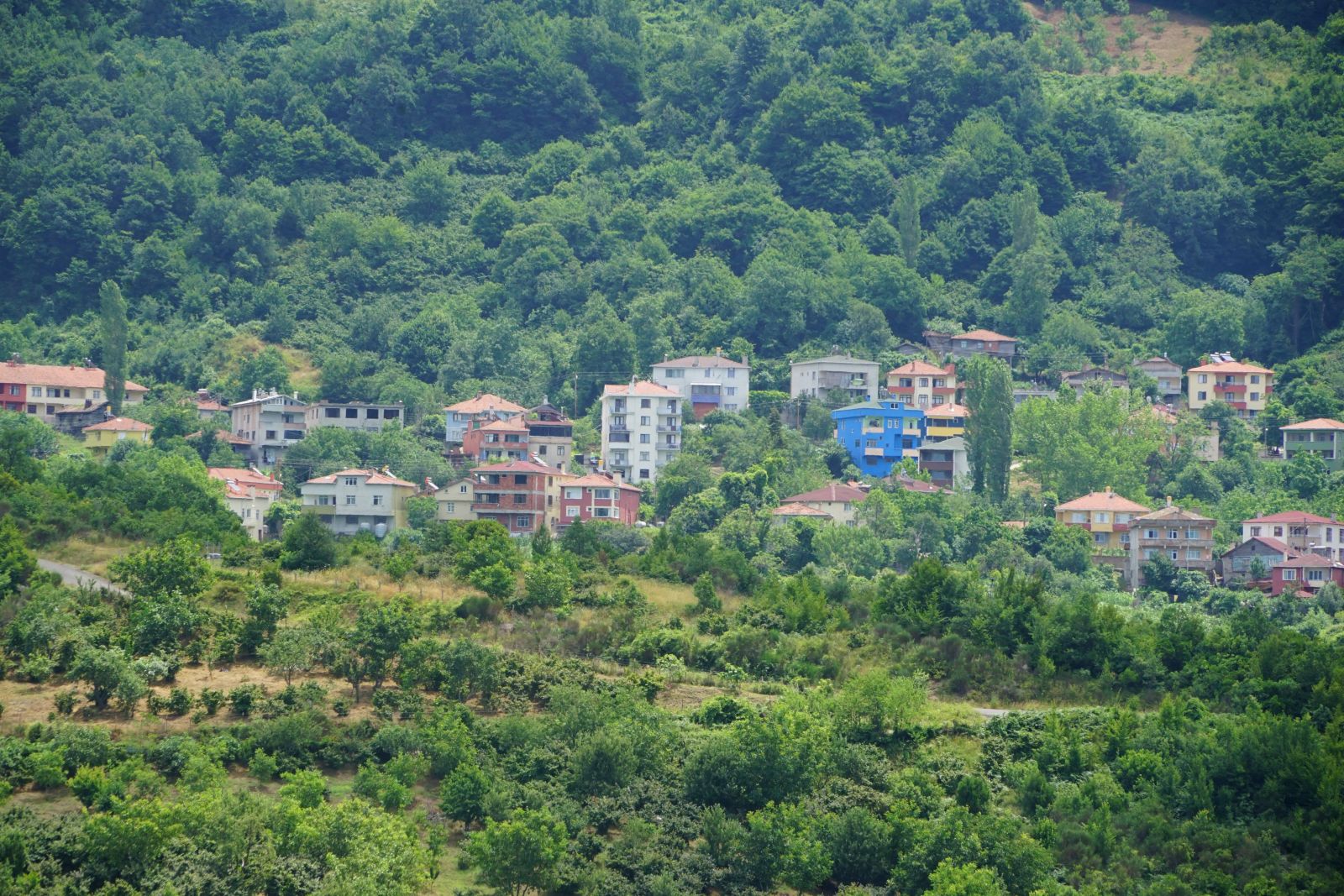 Çalışmak için Güney Afrika’ya gitti, bir şehrin kaderini değiştirdi