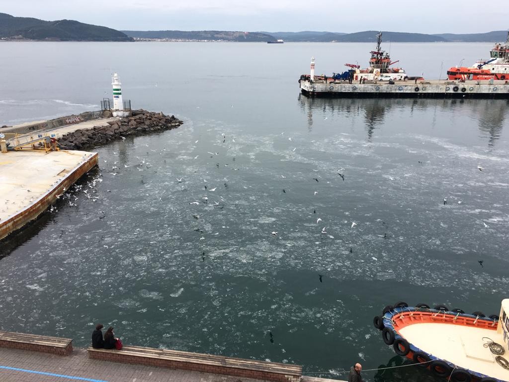 Çanakkale Boğazı'nda ortaya çıkan 'gizemli tabaka' incelenecek