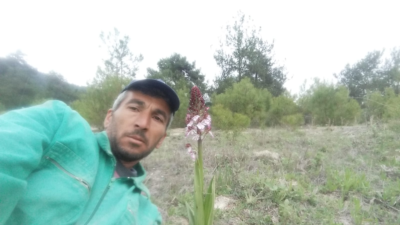 Koparmanın cezası 72 bin lira olan bitkiyle selfie