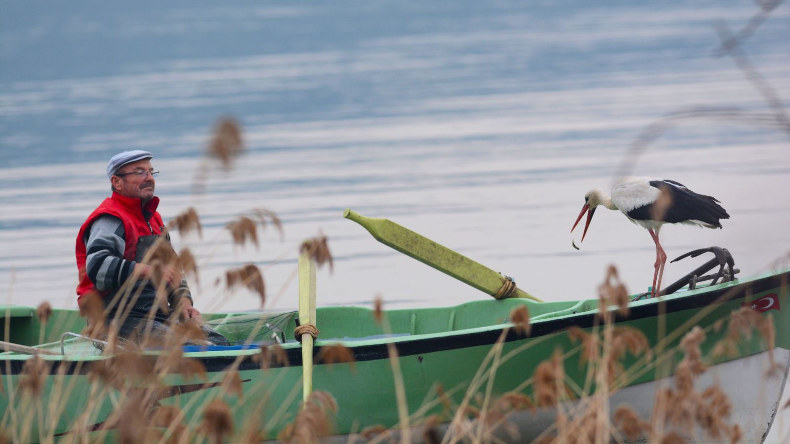 Leylek ile Bursalı balıkçının hikayesi film oluyor
