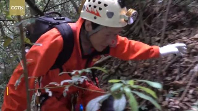 Aylar sonra mağaraya adım attılar! Bilim adamları gördüklerine inanamadı