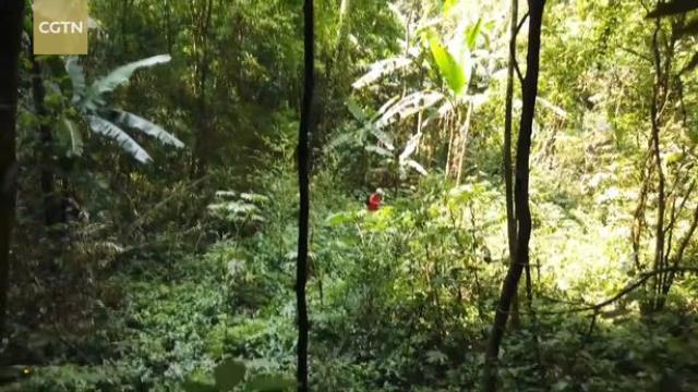 Aylar sonra mağaraya adım attılar! Bilim adamları gördüklerine inanamadı