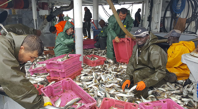 Balıkçılar çifte bayram yapacak