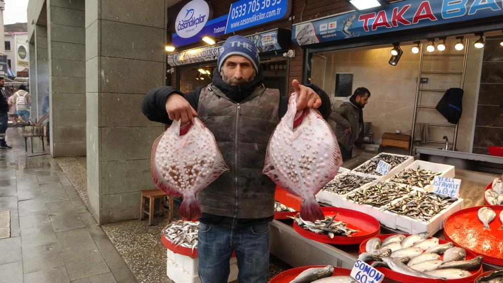 Kilosu 500 TL olan Kalkan Balığı, tezgahların en pahalısı oldu Kilosu 500 TL olan Kalkan Balığı, tezgahların en pahalısı oldu