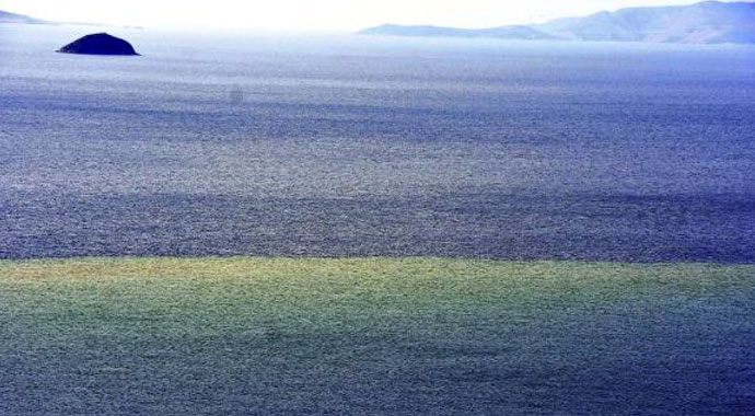 Bodrum'da denizin rengi kahverengi oldu