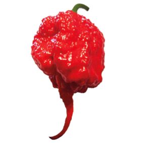 Hastanelik eden lezzet: Acı biber!