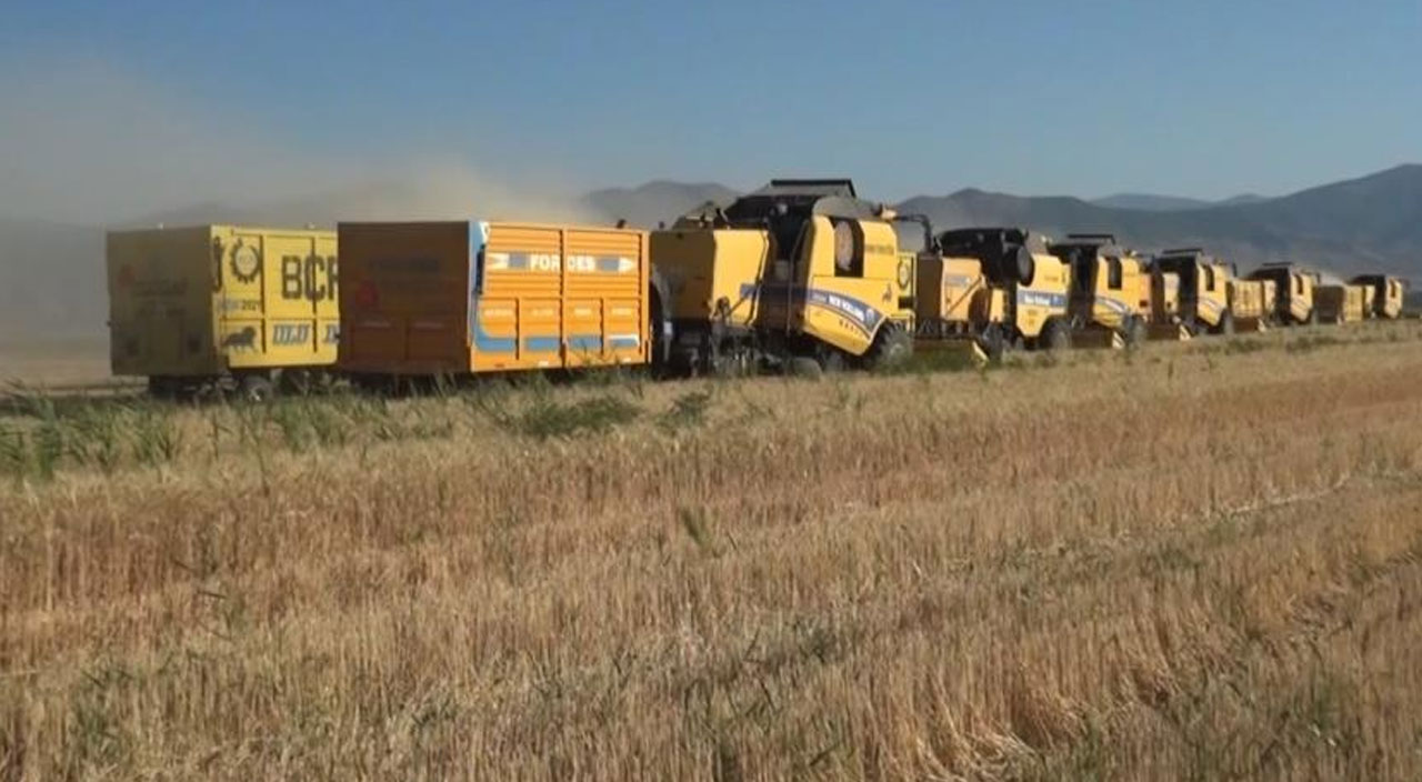 Muş'ta dev hasat başladı:17 bin çiftçi aynı anda tarlalara girdi Muş'ta dev hasat başladı:17 bin çiftçi aynı anda tarlalara girdi