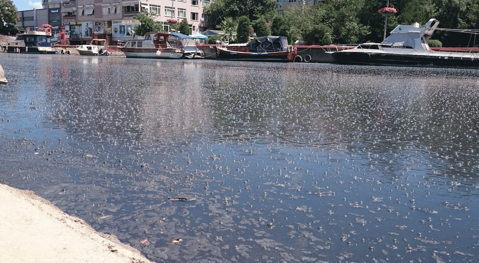 Kadıköy'de kokudan durulmuyor, artık fokurduyor!