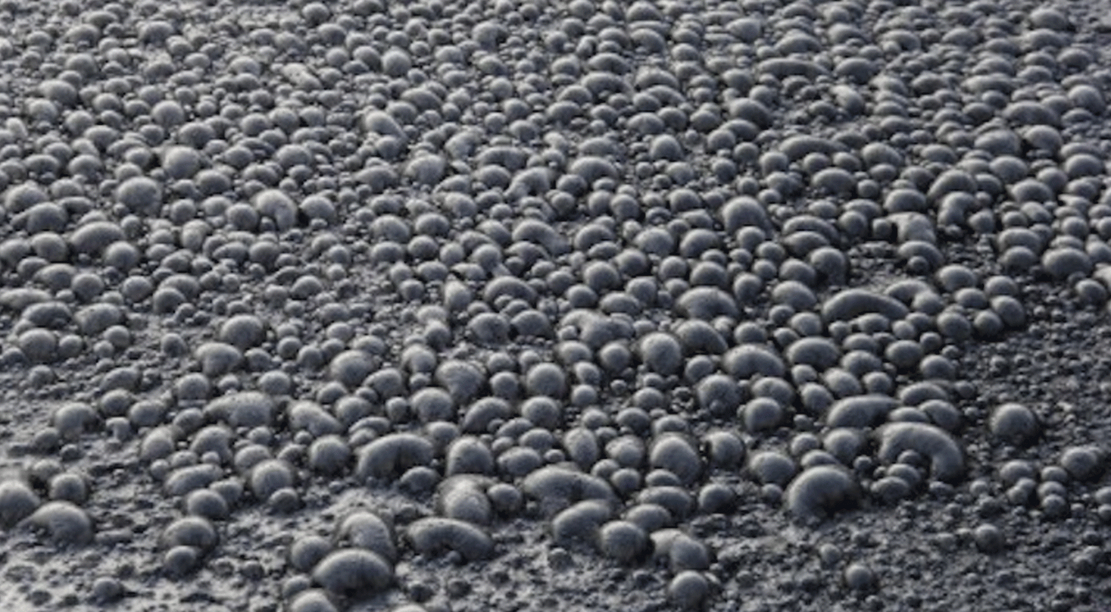 Kadıköy'de kokudan durulmuyor, artık fokurduyor!