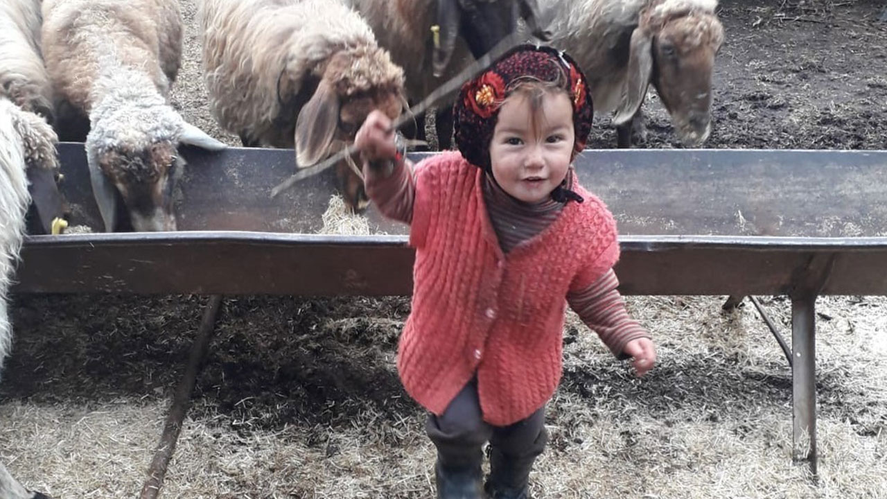 Yörük kızı Müslüme'nin anneannesi konuştu: Aklımı kaybedeceğim Yörük kızı Müslüme'nin anneannesi konuştu: Aklımı kaybedeceğim