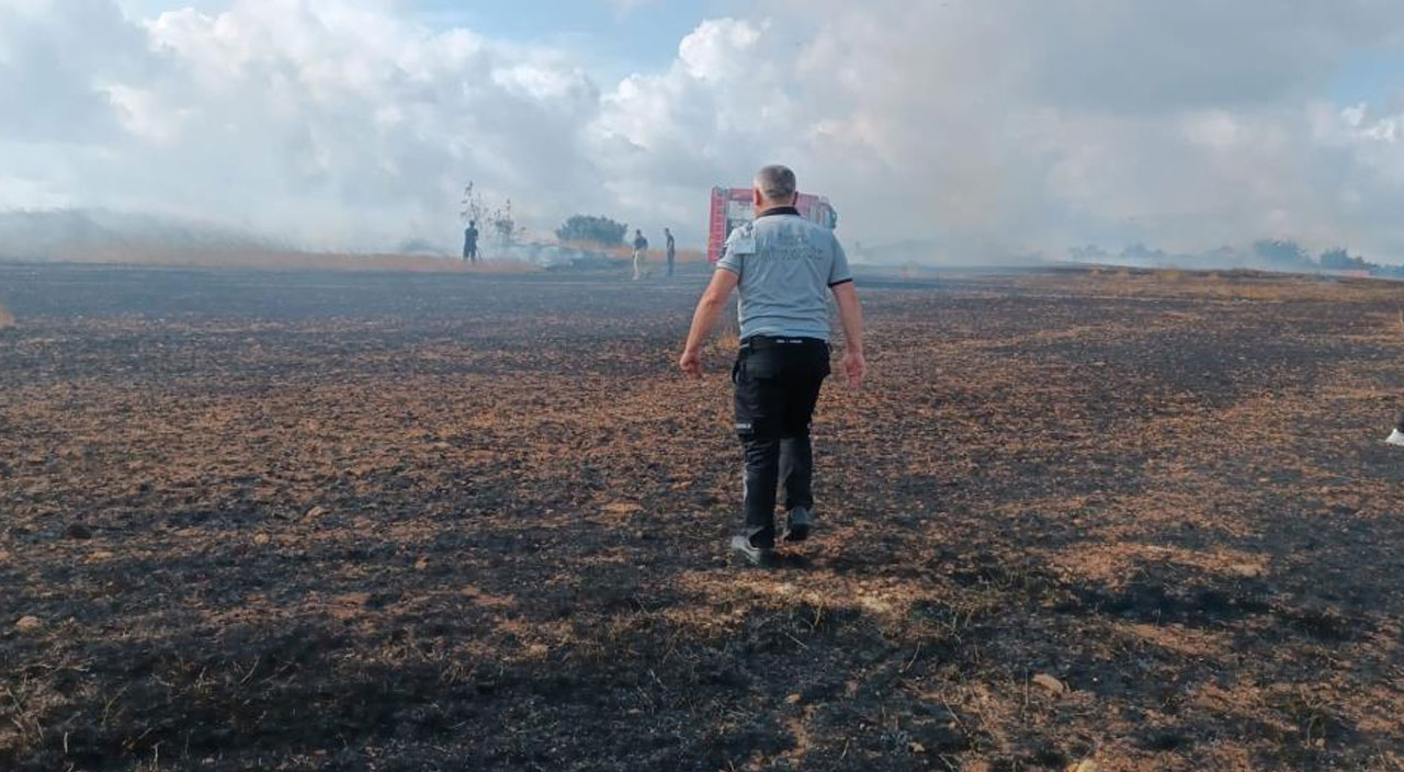 Arnavutköy'de buğday tarlasında yangın çıktı