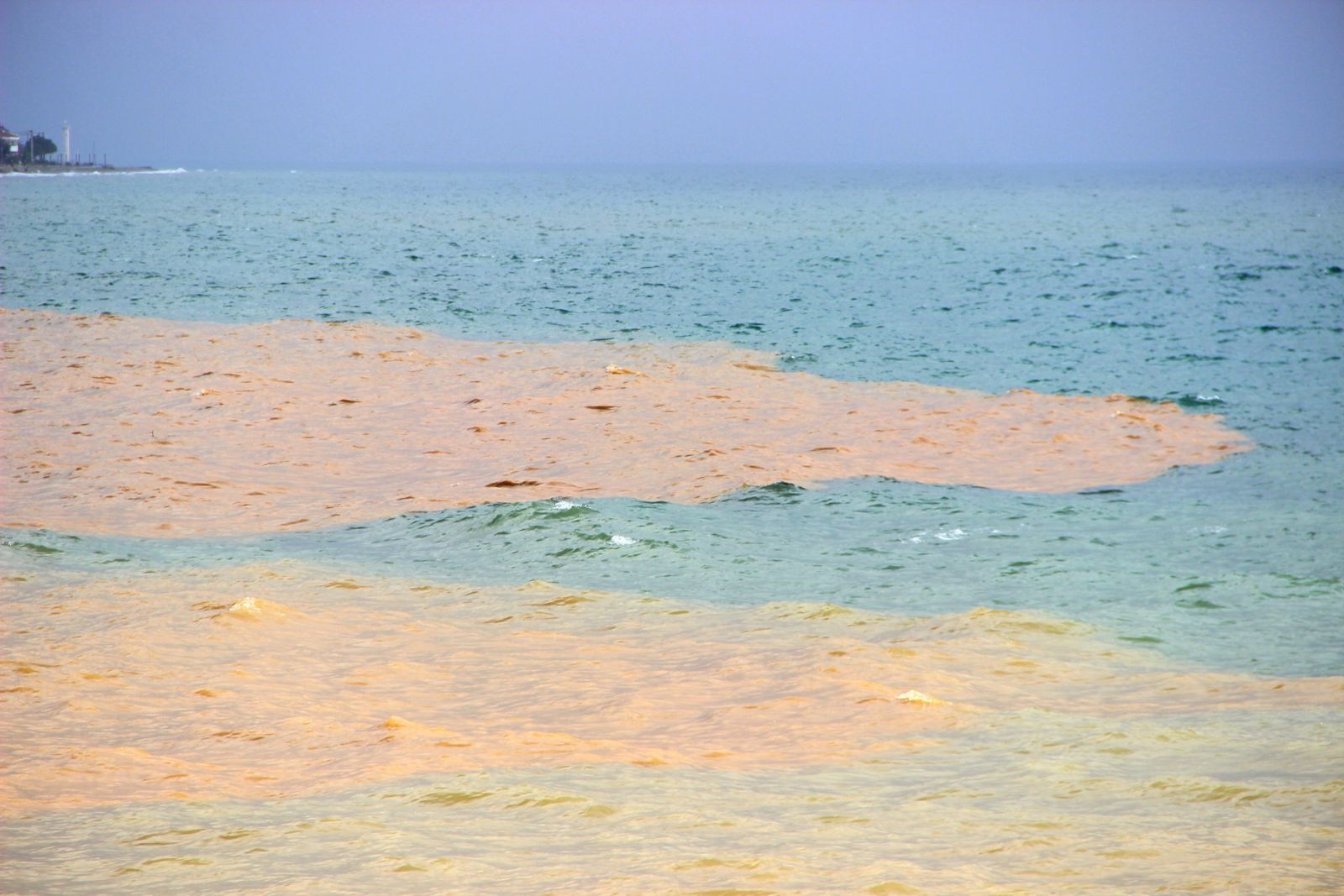 Edremit'te korkutan görüntü!