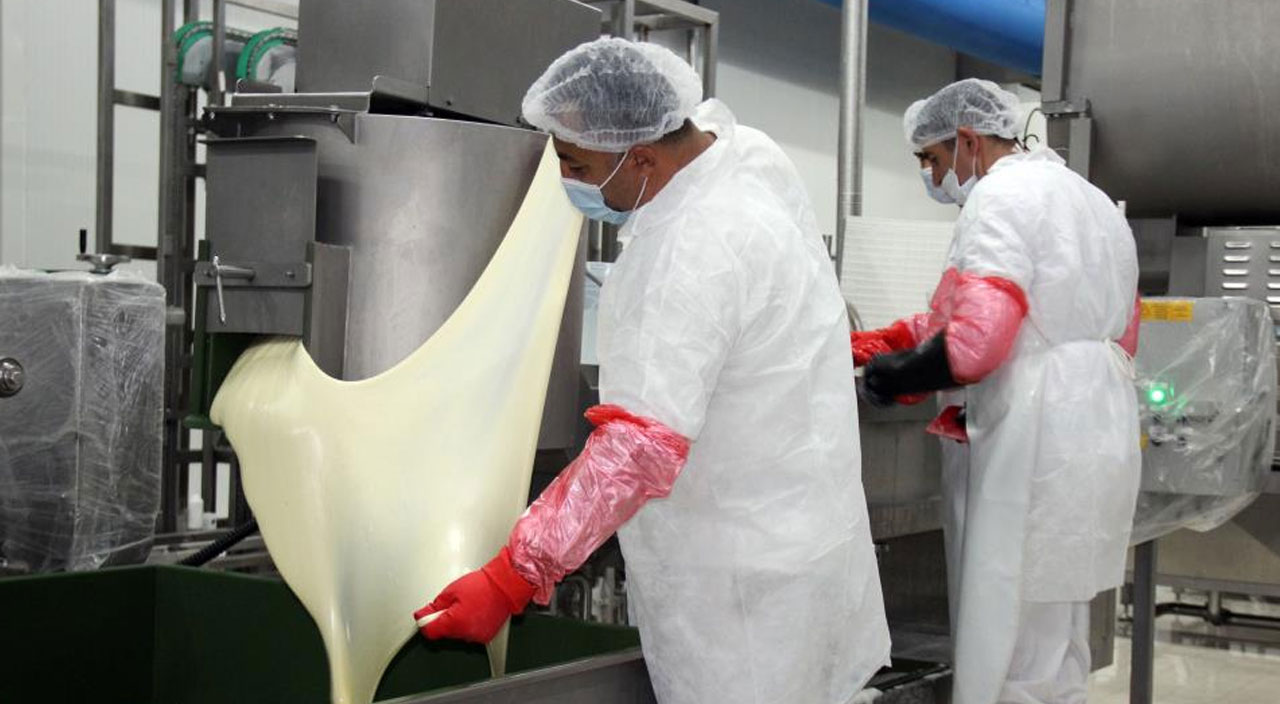 Türkiye’de bir ilk: Yozgat’ta açıldı! Günlük 90 ton üretim yapılacak