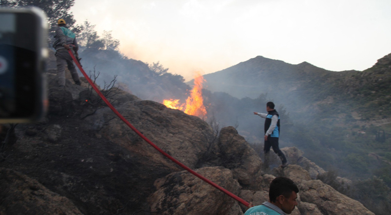 Bodrum’da başlayan orman yangını kontrol altına alındı