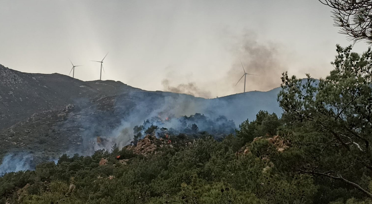 Bodrum’da başlayan orman yangını kontrol altına alındı