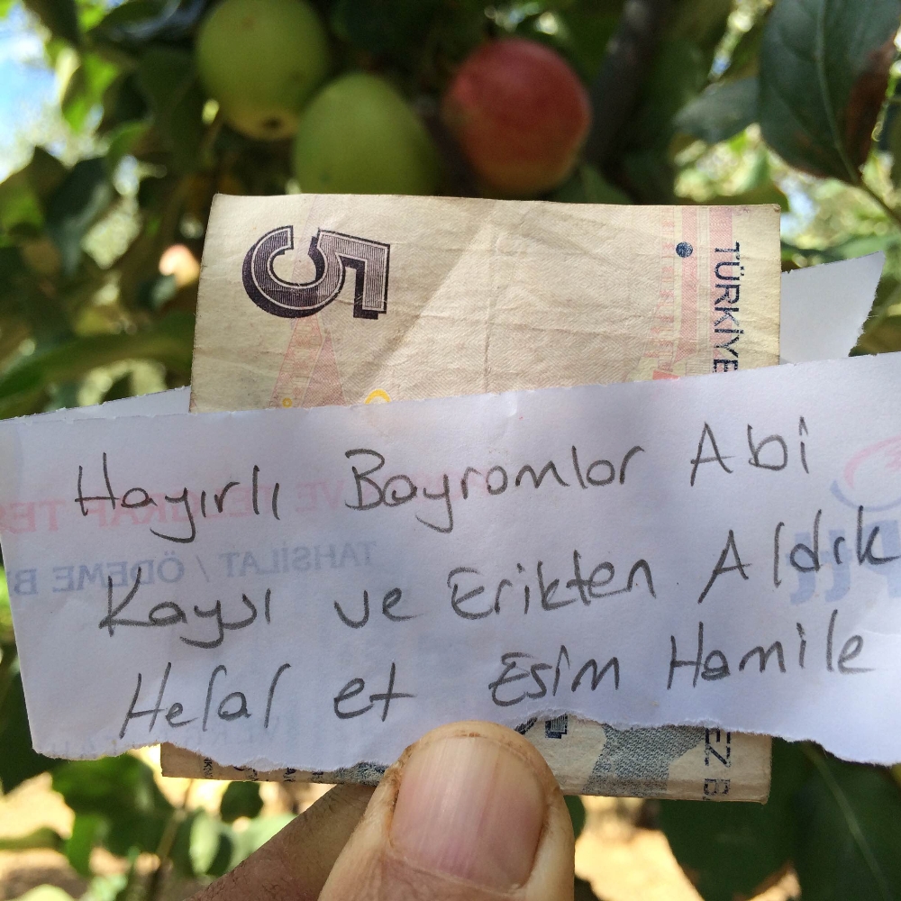 Hamile eşi için aldığı meyvelerin parasını ağaca astı